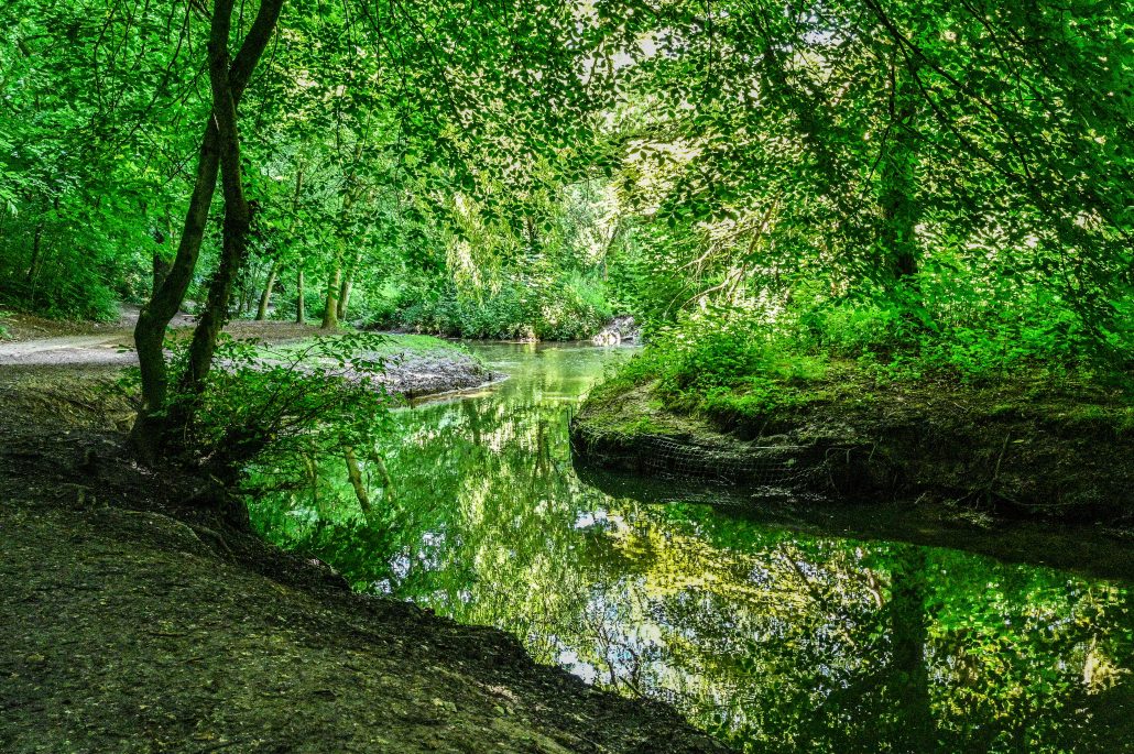Louth, Hubbards Hills