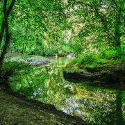 Louth, Hubbards Hills